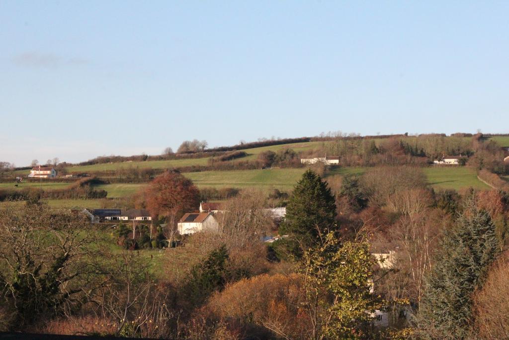 The Haymaker Inn Chard Esterno foto